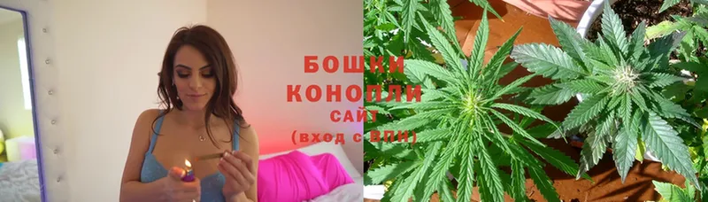 где купить наркоту  Емва  mega ССЫЛКА  Конопля LSD WEED 